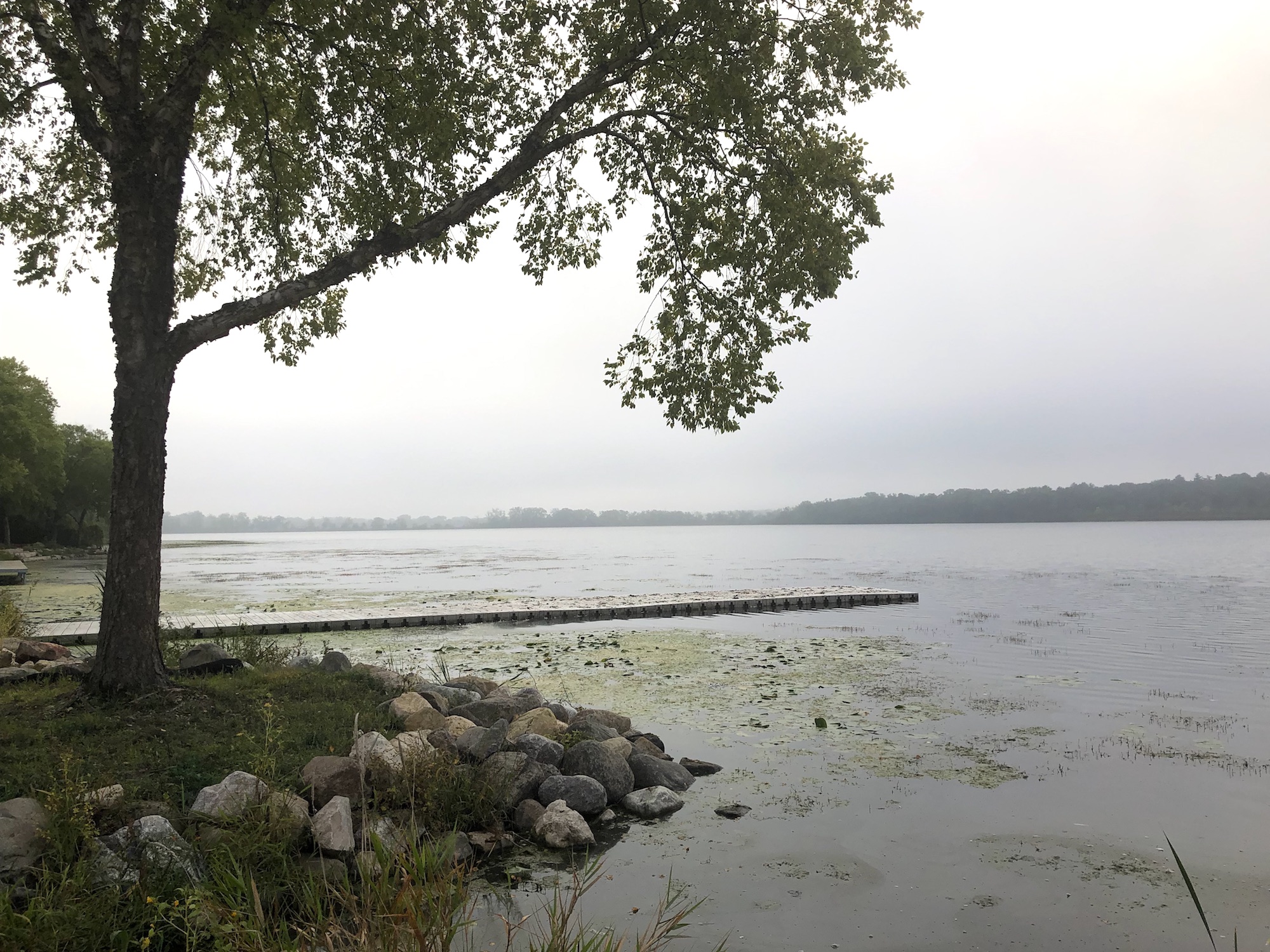 Lake Wingra on September 17, 2019.