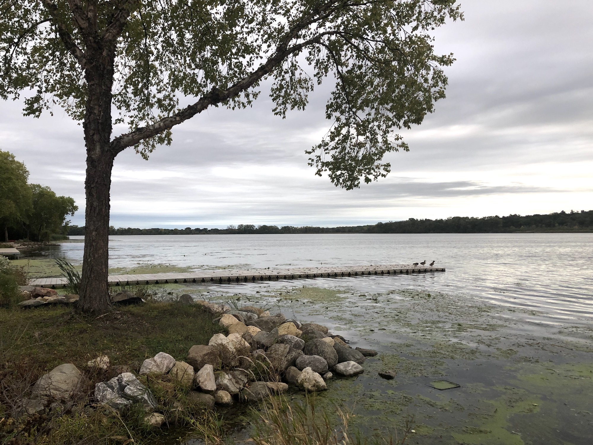 Lake Wingra on September 27, 2019.