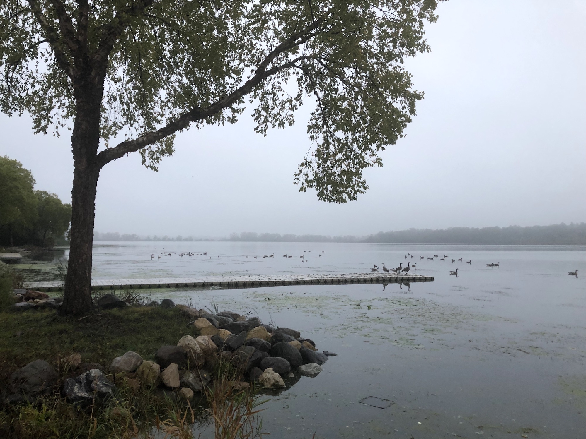 Lake Wingra on September 30, 2019.