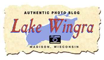 Lake Wingra Photo Blog.