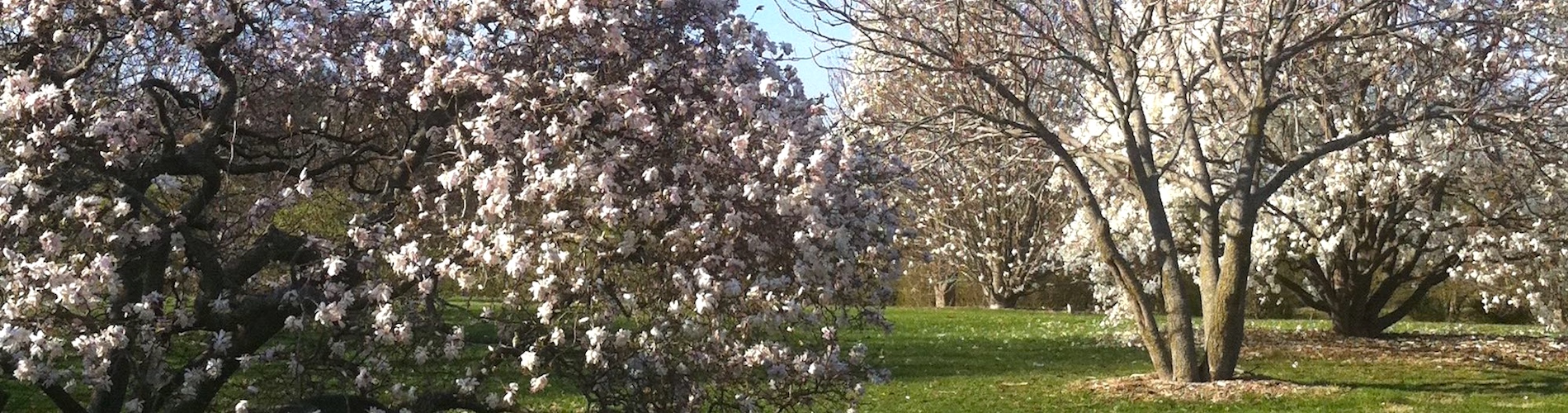 Longenecker Gardens at the University of Wisconsin Arboretum on March 20, 2012.