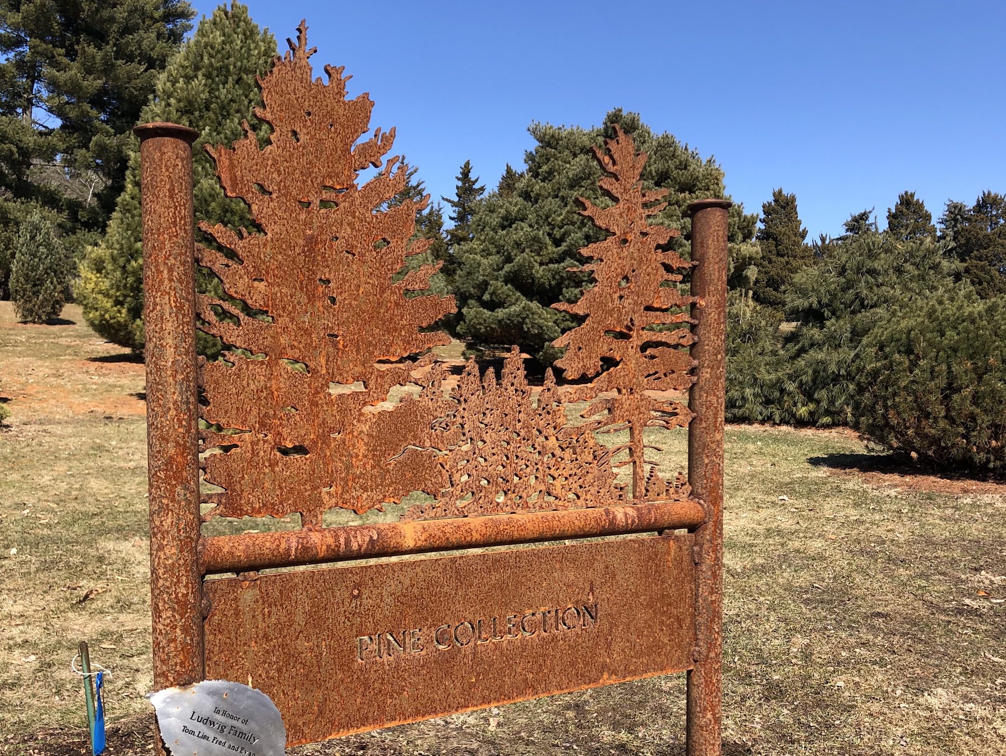 Metal cutout sign for Pine Collection in Longenecker Gardens at the University of Wisconsin Arboretum.