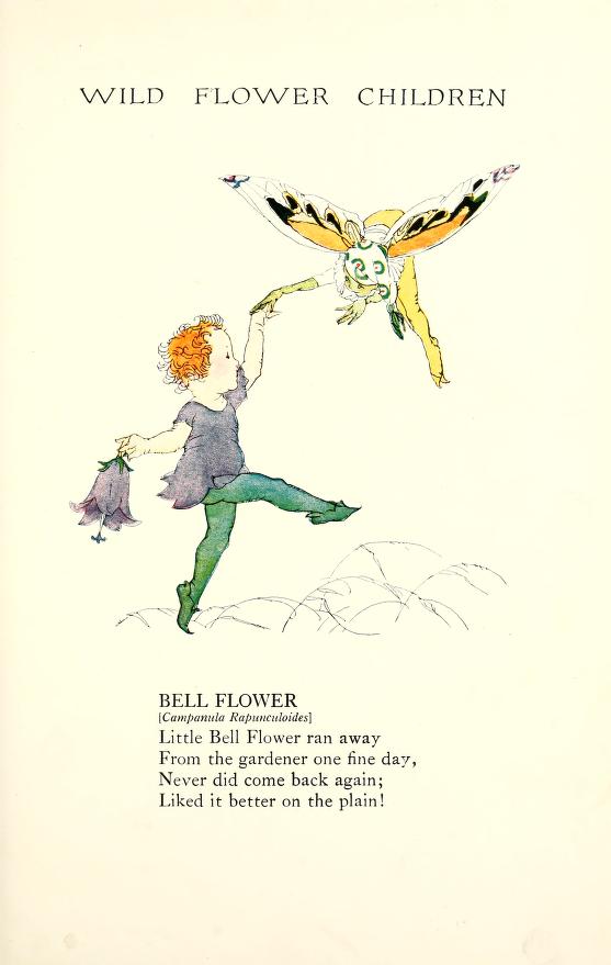 1918 Bell Flower  Wildflower Children by Elizabeth Gordon with illustration by Janet Laura Scott.