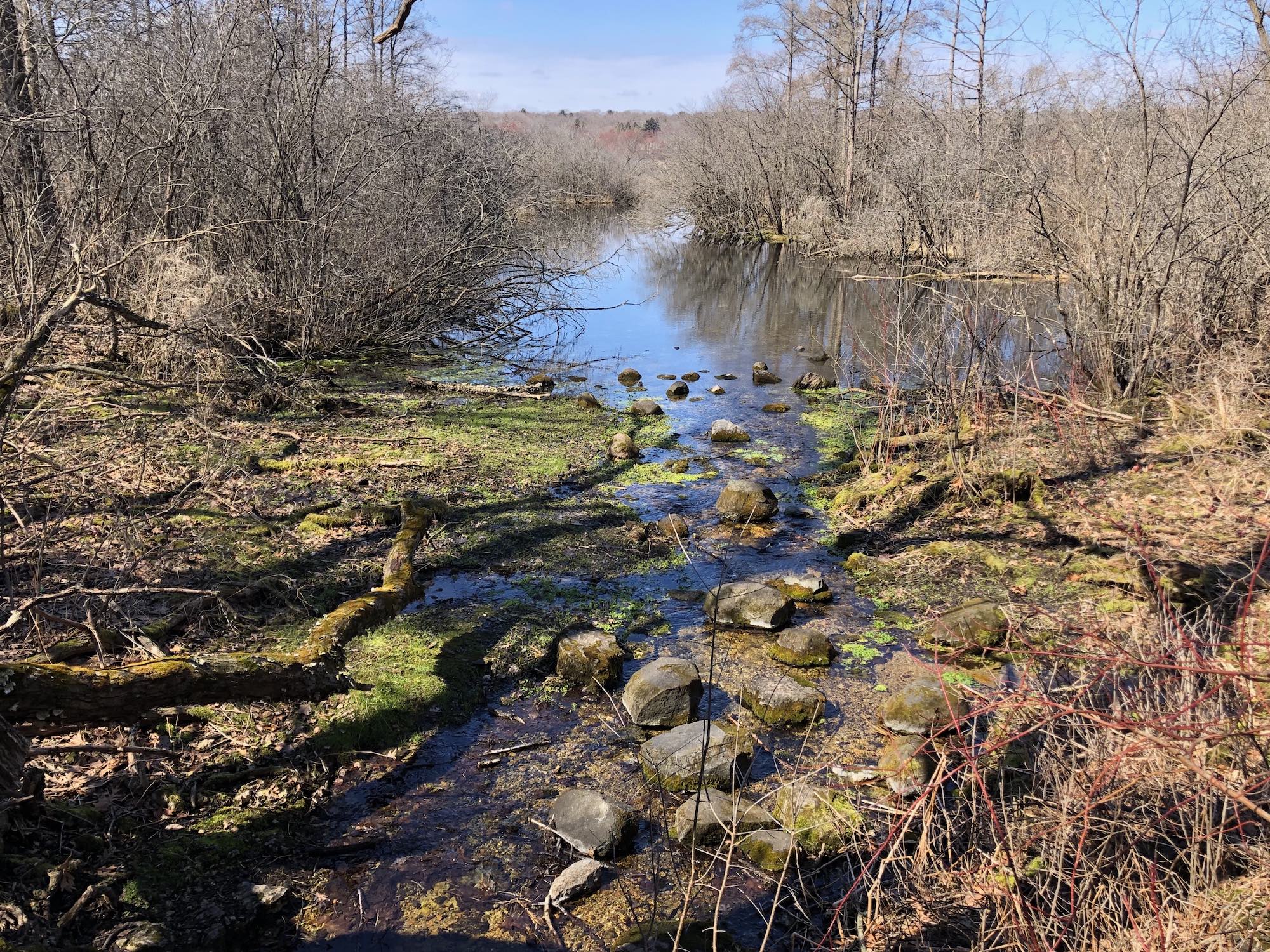Big Spring flowing into Lake Wingra in the University of Wisconsin Arboretum on March 21, 2020.