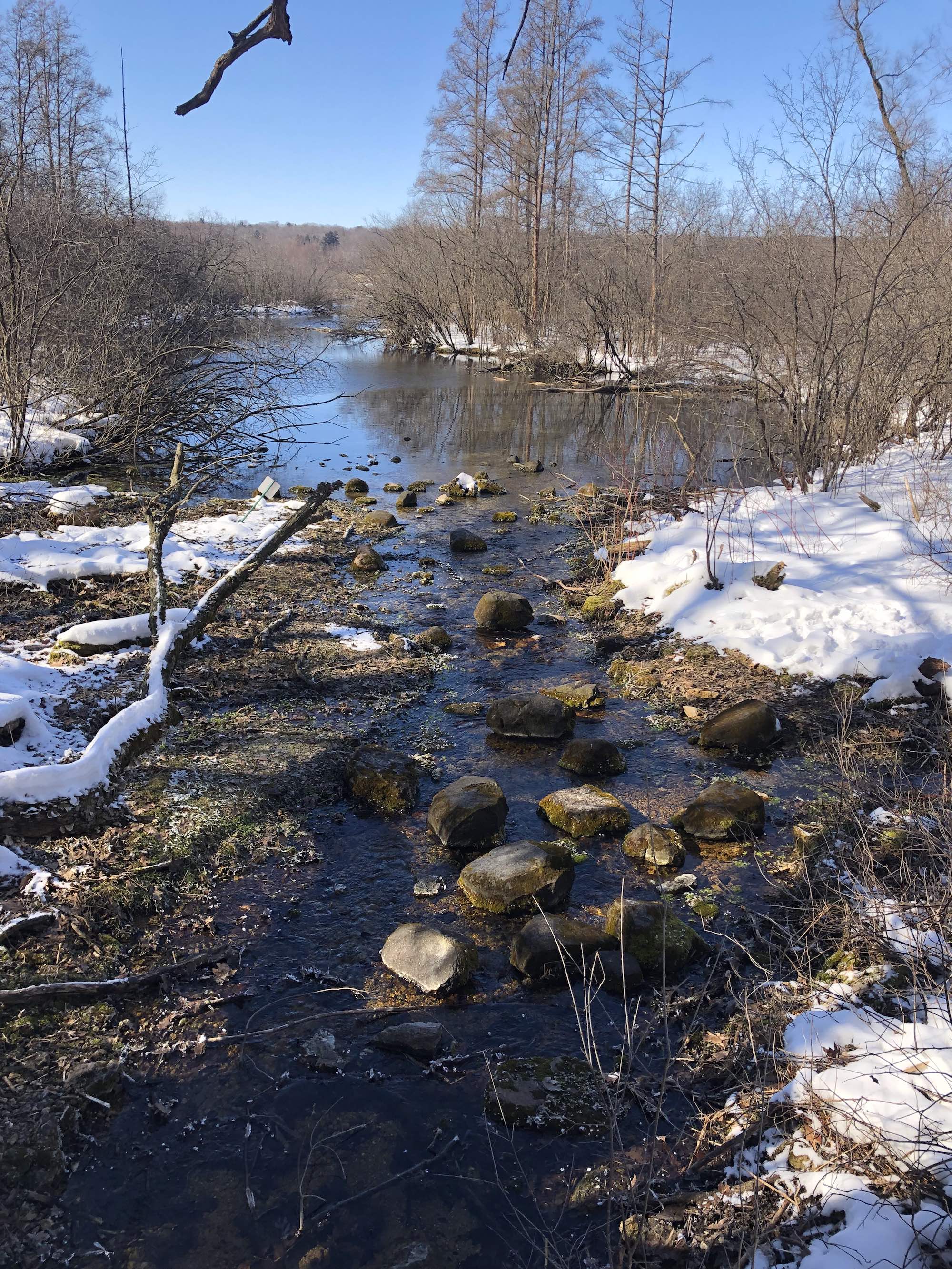 Big Spring flowing into Lake Wingra in the University of Wisconsin Arboretum on March 3, 2019.