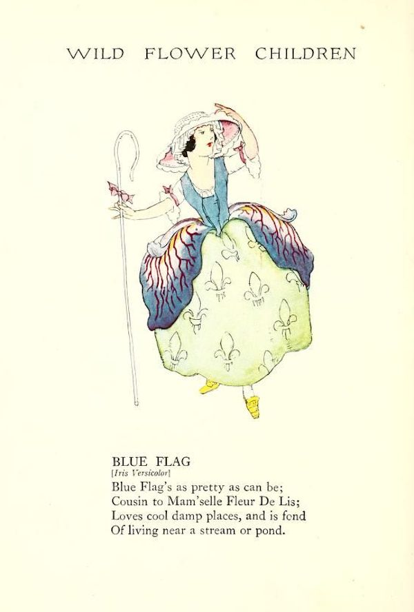Iris by Elizabeth Gordon with illustration by Janet Laura Scott circa 1918.