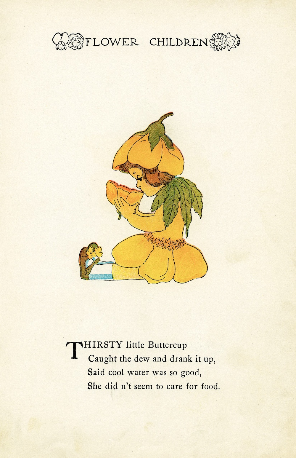TButtercup by Elizabeth Gordon with illustration by  M. T. (Penny) Ross.