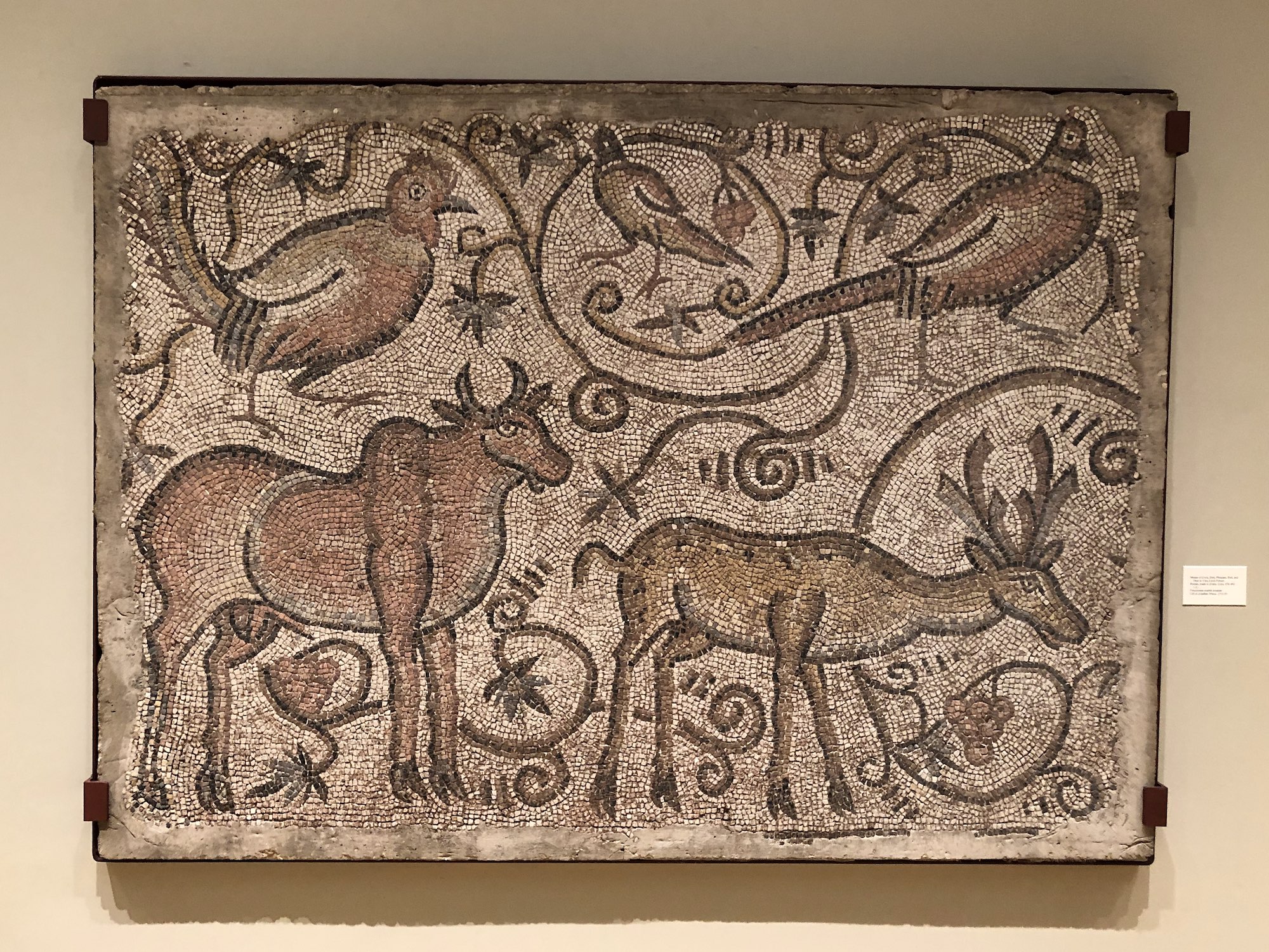 Roman Mosaic of Cock, Bird, Pheasant, Bull, and Deer in Vine Scroll Pattern at the Chazen Museum of Art in Madison Wisconsin.