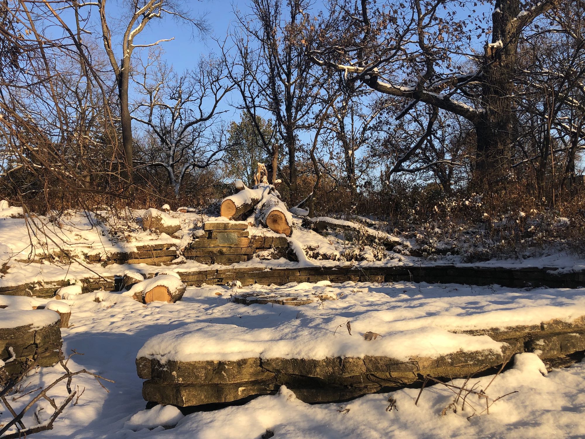 Council Ring on November 7, 2019.