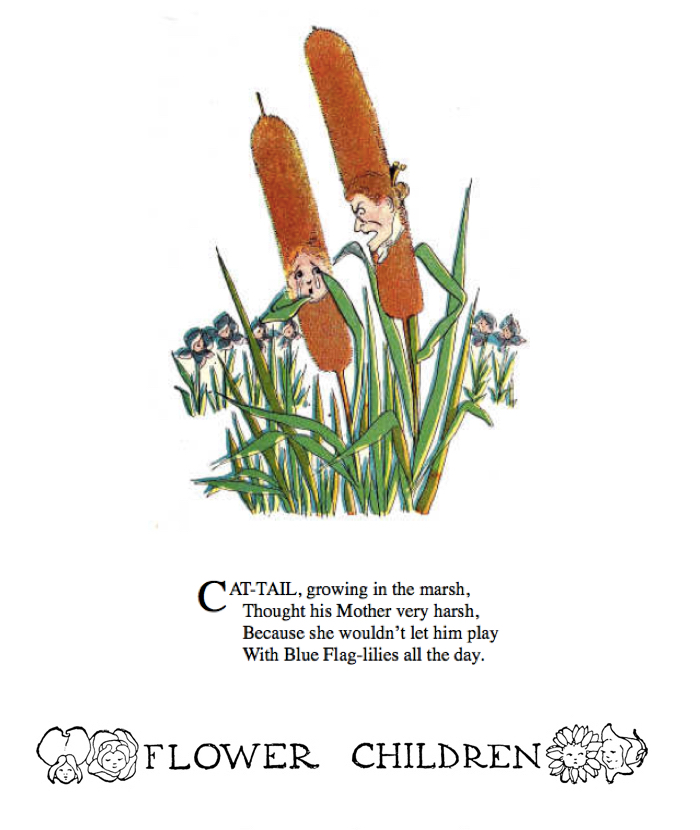 Cattail Flower Children by Elizabeth Gordon with illustration by  M. T. (Penny) Ross.