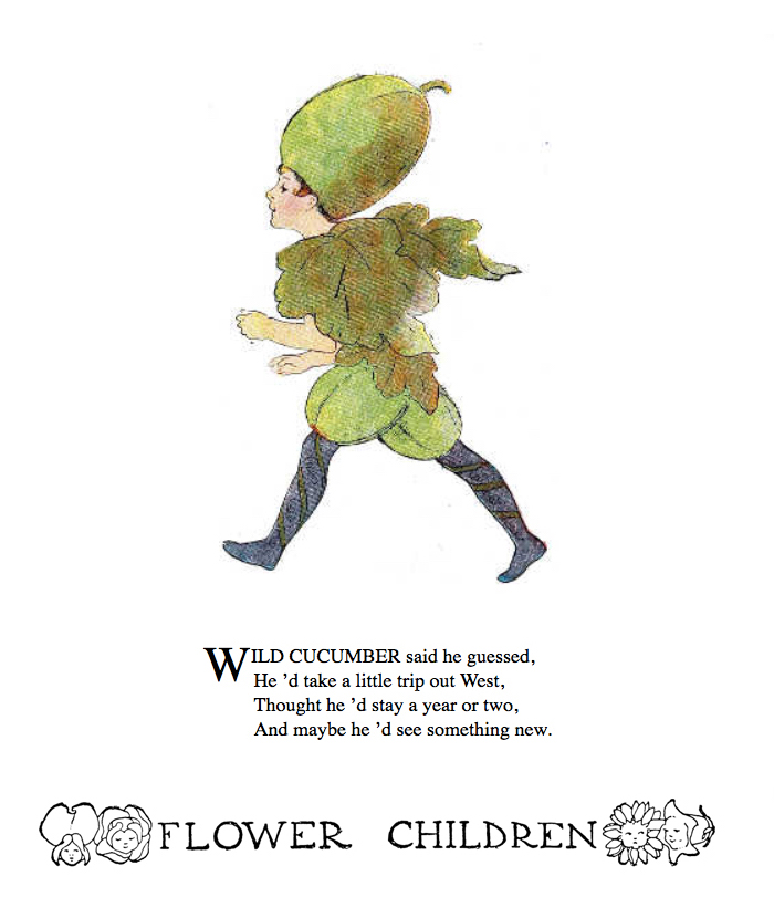 Wild Cucumber Flower Children by Elizabeth Gordon with illustration by  M. T. (Penny) Ross.
