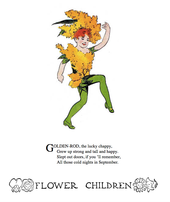 Goldenrod by Elizabeth Gordon with illustration by  M. T. (Penny) Ross.