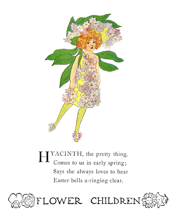 Hyacinth by Elizabeth Gordon with illustration by  M. T. (Penny) Ross.