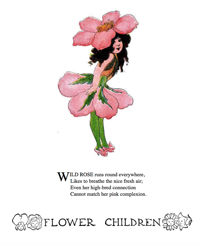 Wild Rose by Elizabeth Gordon with illustration by  M. T. (Penny) Ross.