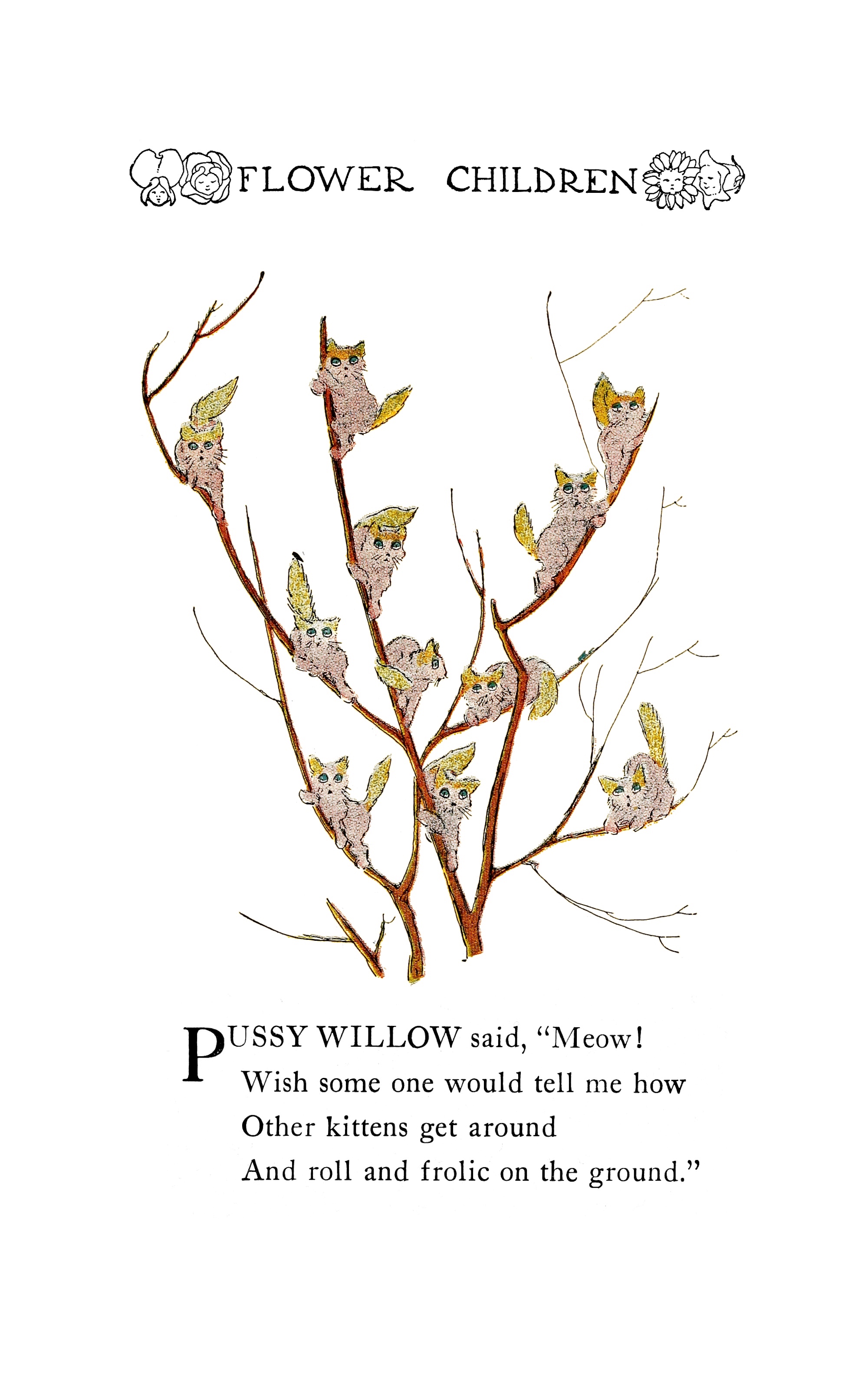 1910 Pussy Willows Flower Children by Elizabeth Gordon with illustration by M.T. (Penny) Ross.