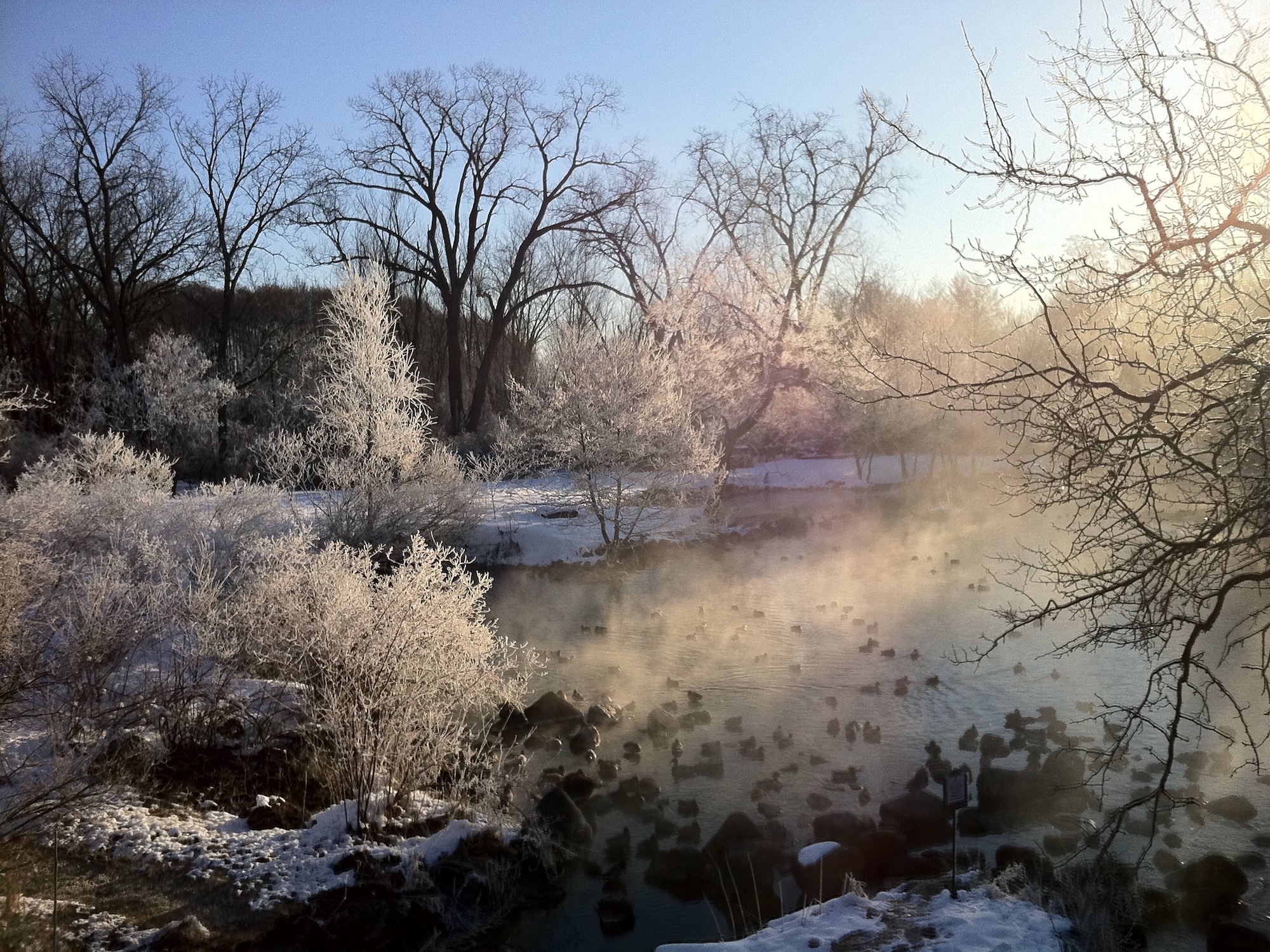 Hoarfrost at Duck Pond on March 3, 2013.