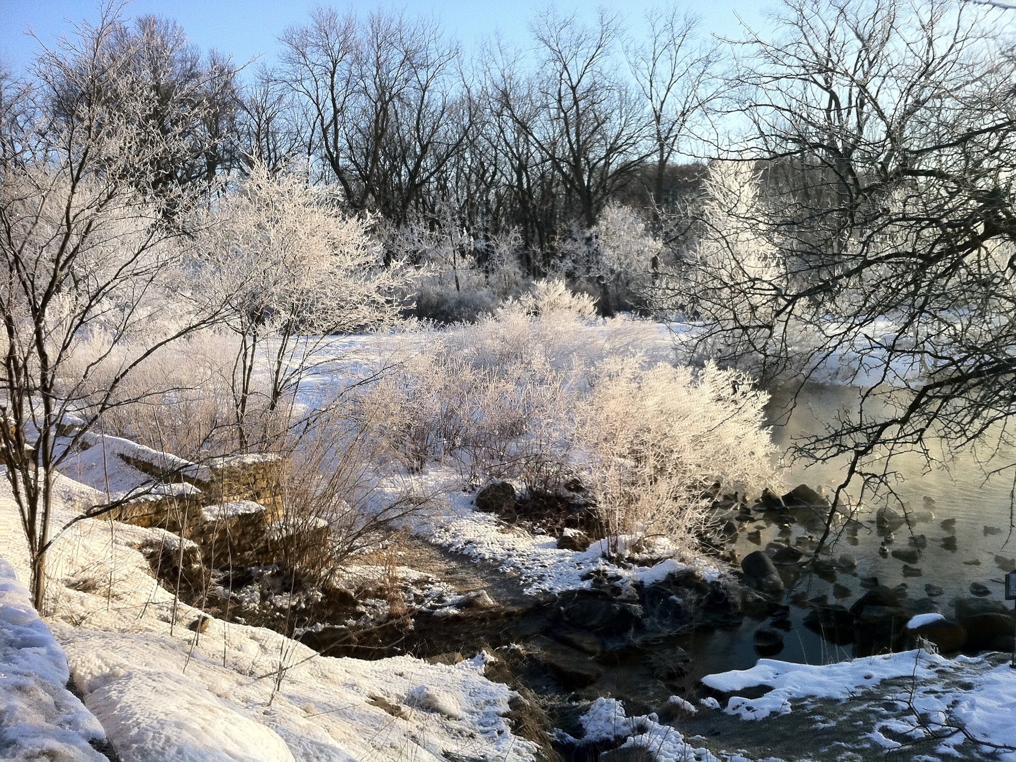 Hoarfrost at Duck Pond in March 3, 2013.