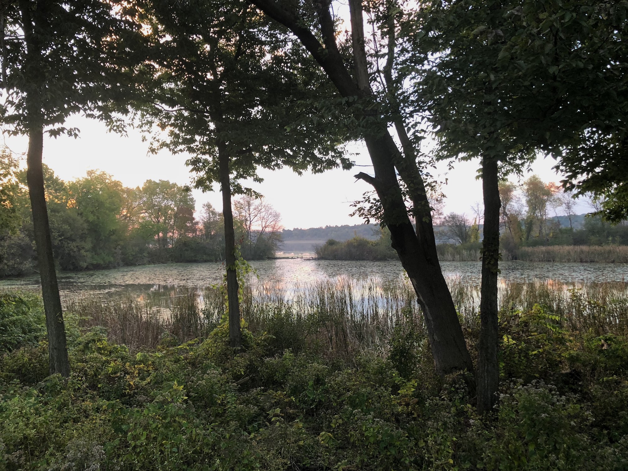 Ho-Nee-Um Pond on October 9, 2018 at sunrise.