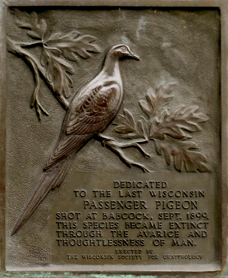 Plaque on the monument in Wyalusing State Park that memorializes the passing of the Passenger Pigeon.