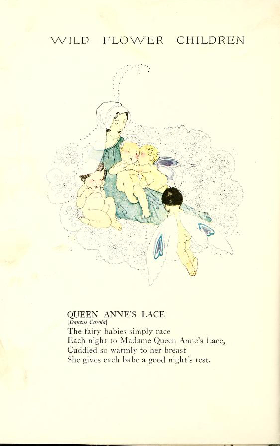 Queen Anne's Lace Wild Flower Children by Elizabeth Gordon with illustration by Janet Laura Scott.
