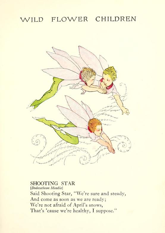 1918 Shooting Star Wild Flower Children by Elizabeth Gordon with illustration by Janet Laura Scott.