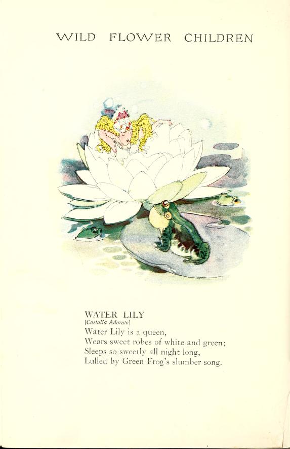 Water Lily Wild Flower Children by Elizabeth Gordon with illustration by Janet Laura Scott.