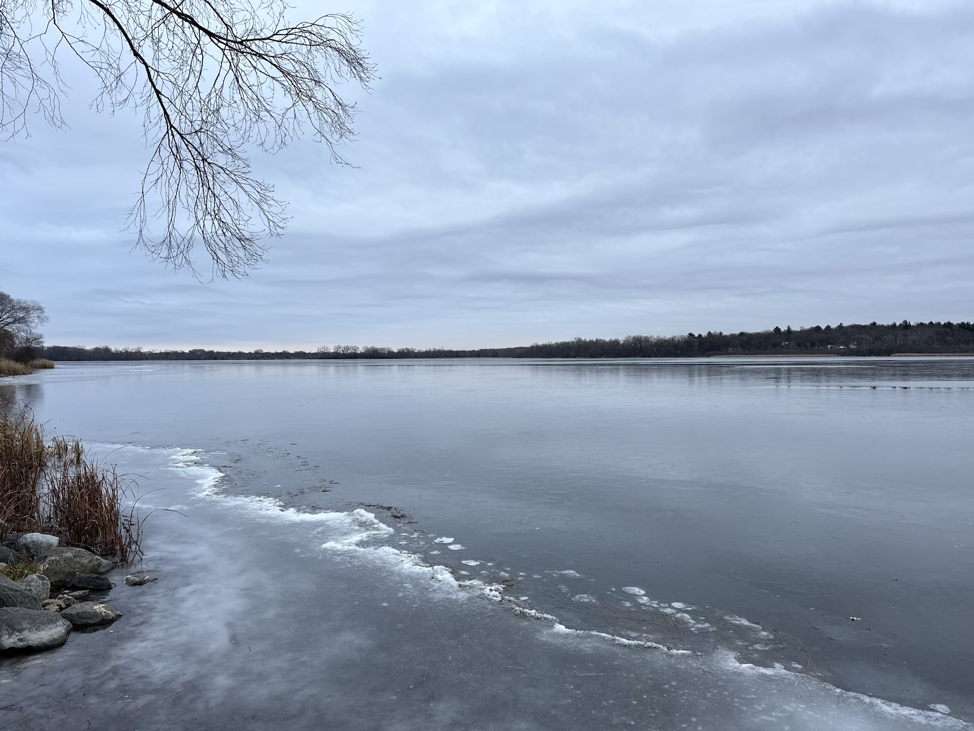 Lake Wingra on December 1, 2023.