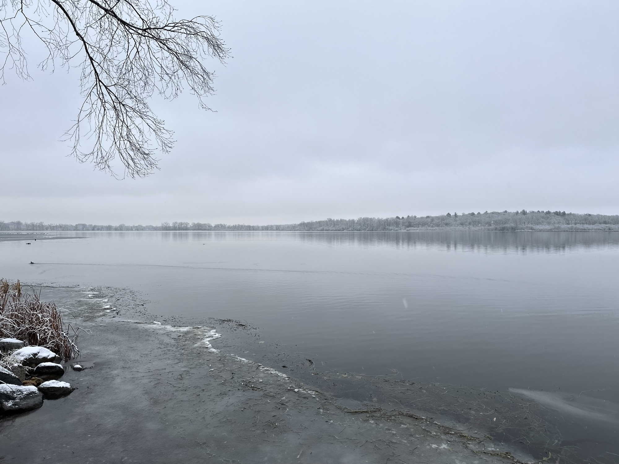 Lake Wingra on December 5, 2023.