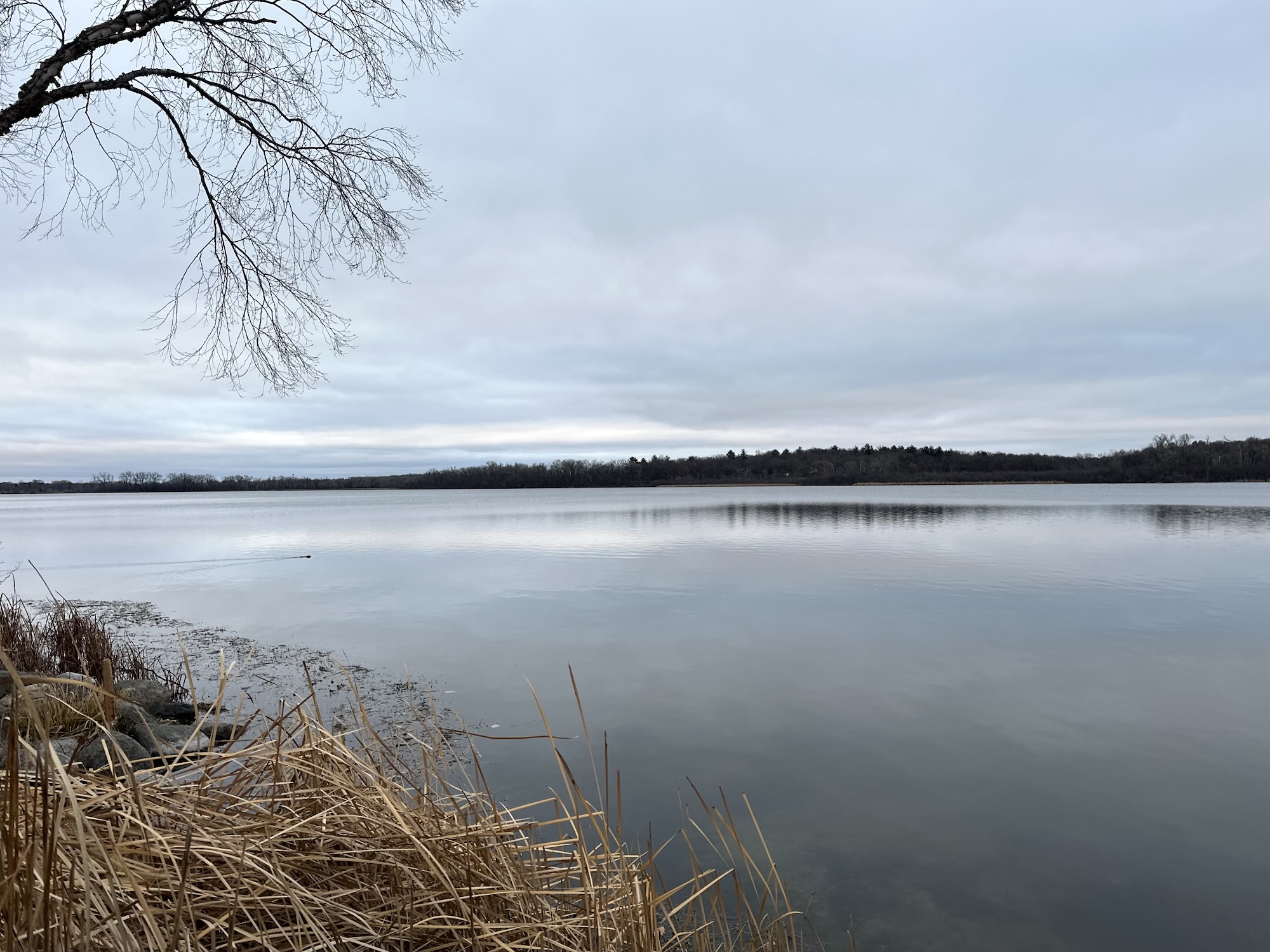 Lake Wingra on December 10, 2023.