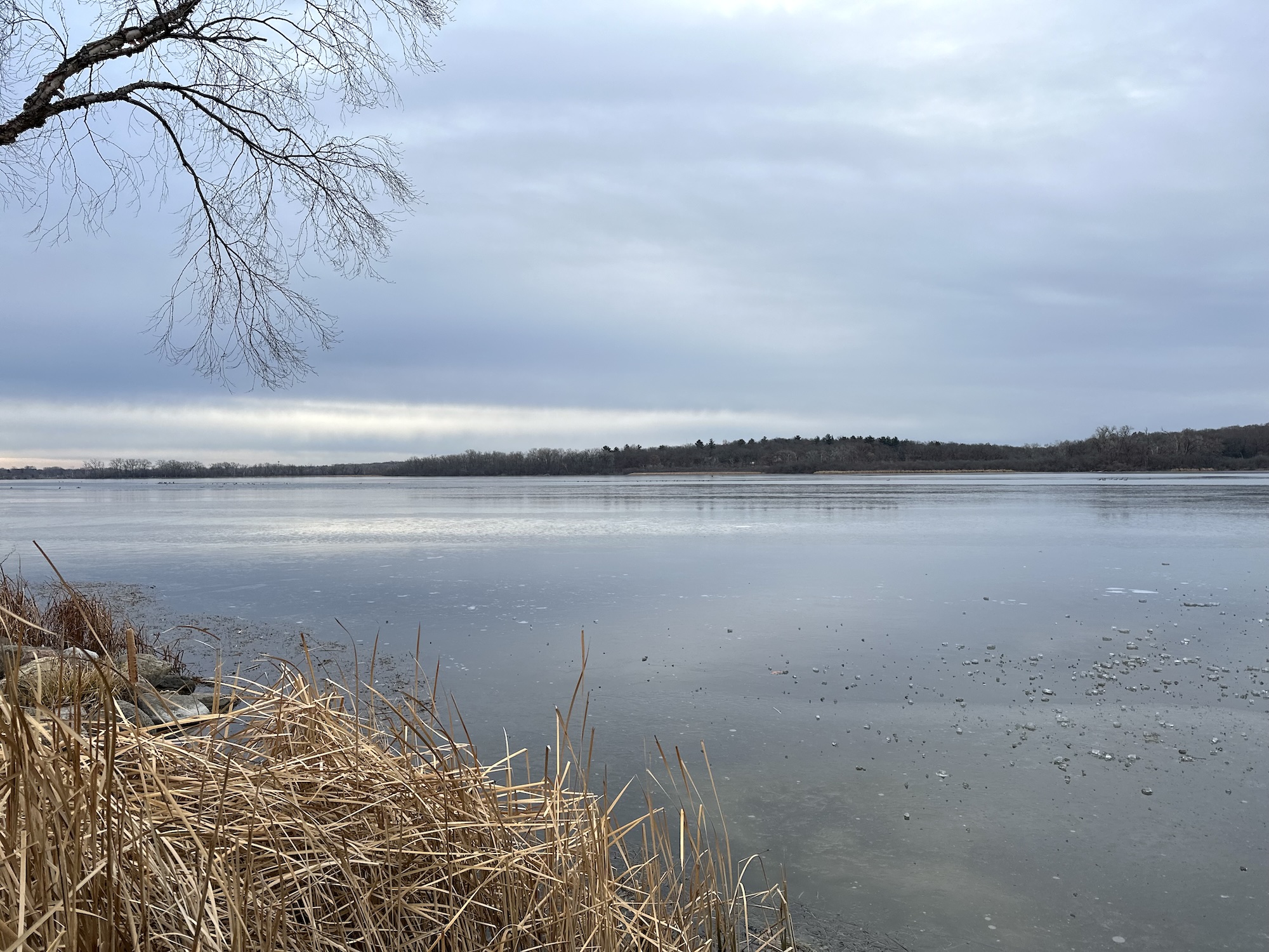 Lake Wingra on December 16, 2023.