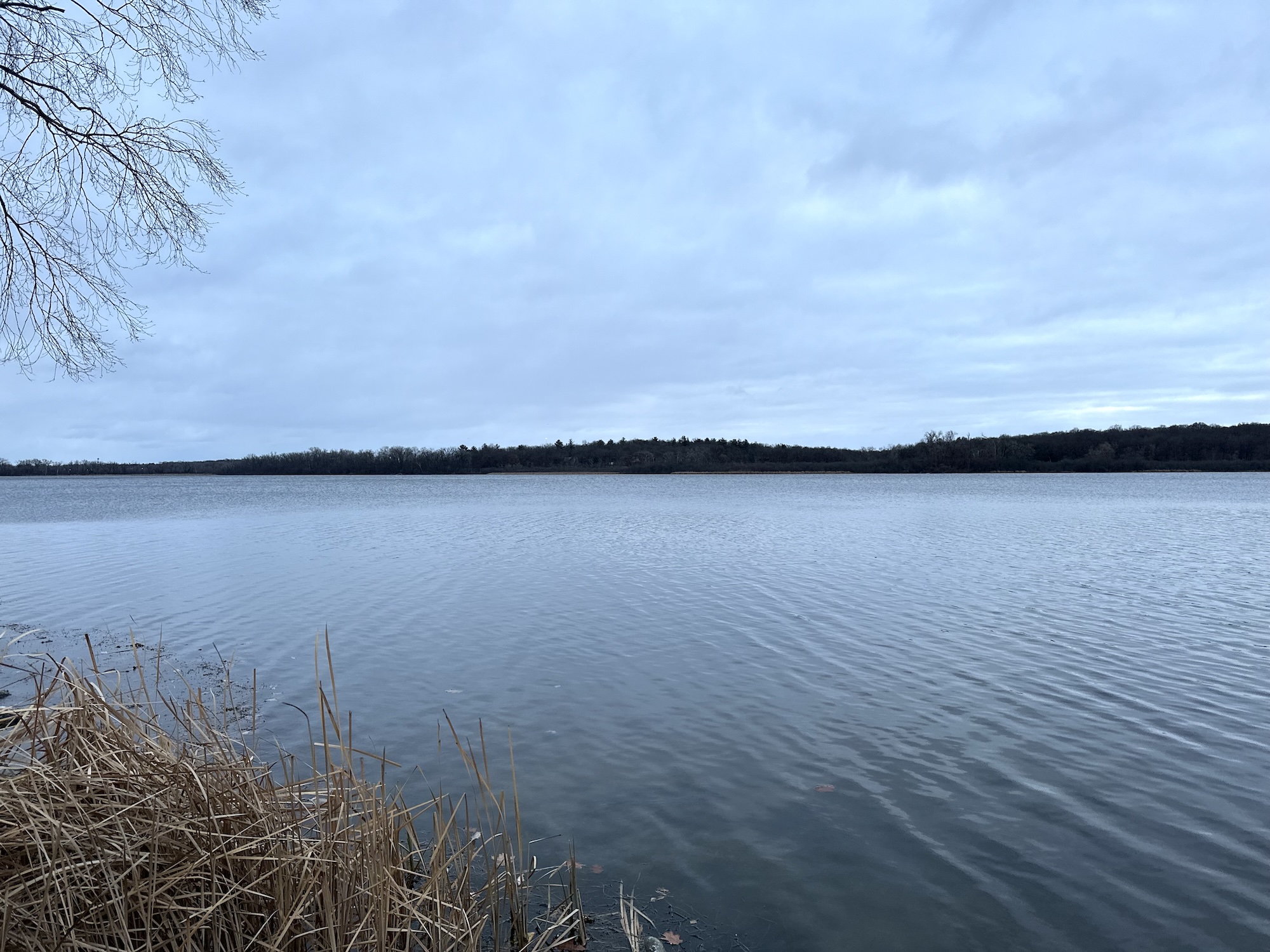 Lake Wingra on December 18, 2023.