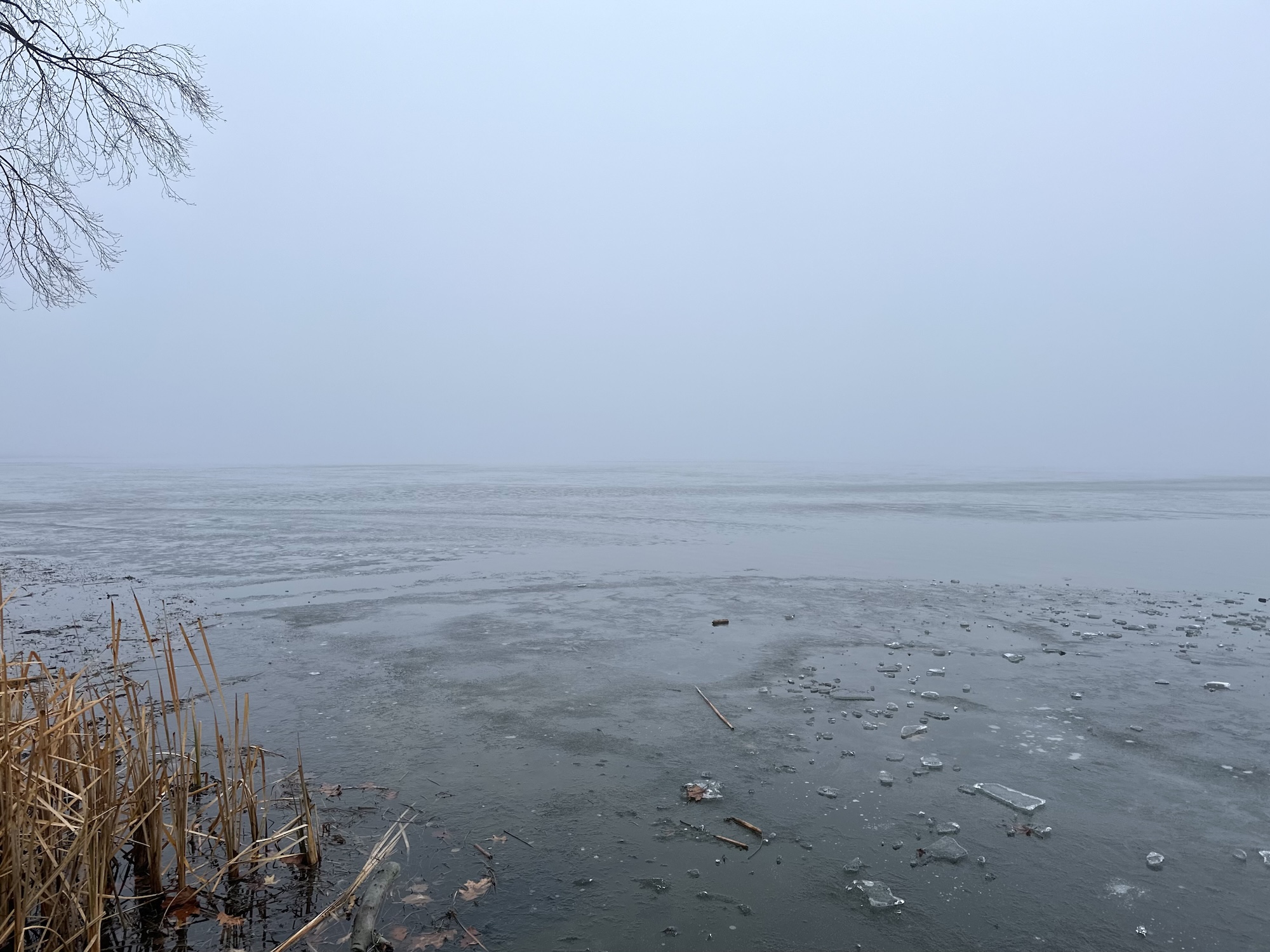 Lake Wingra on December 23, 2023.