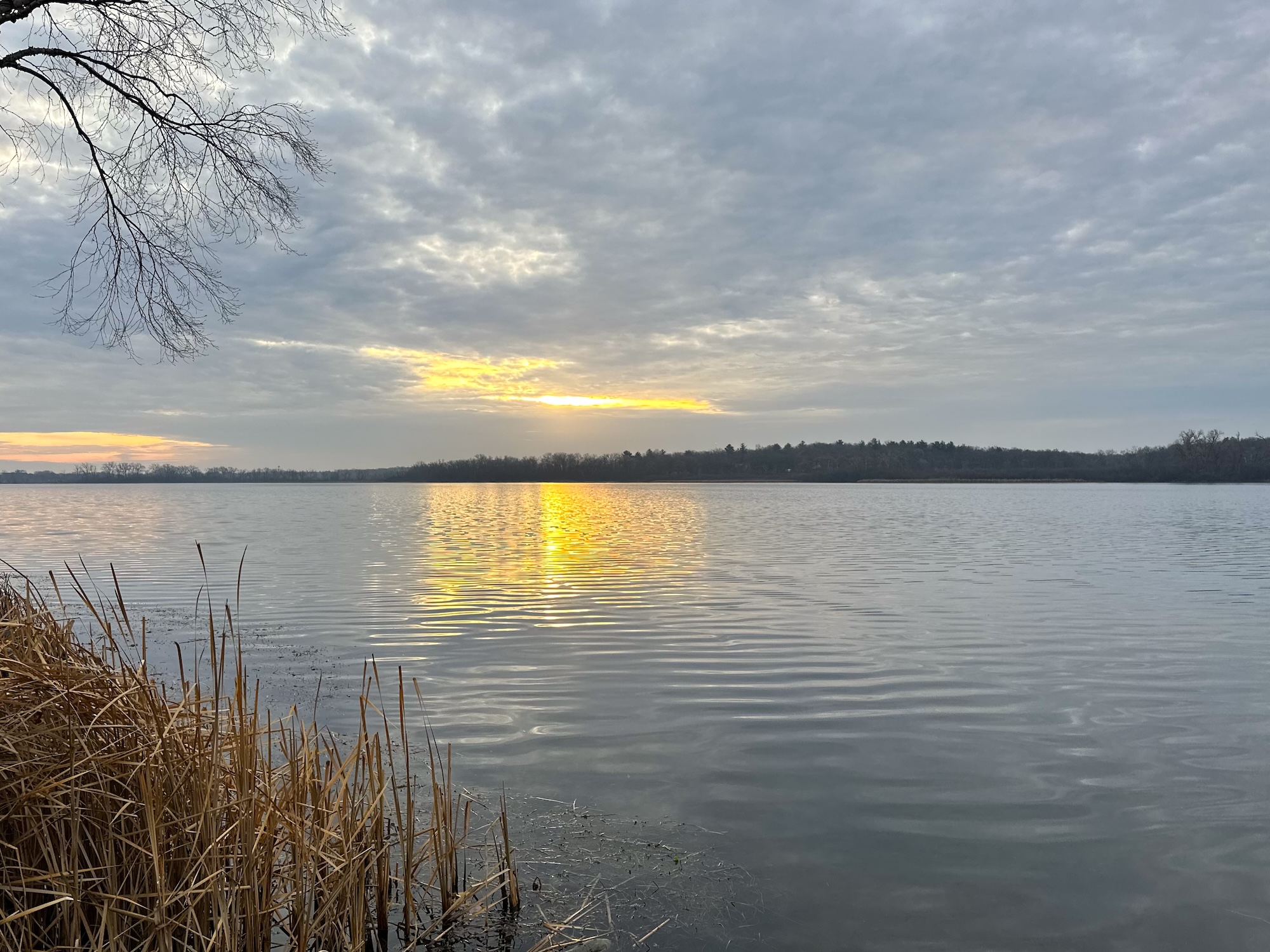 Lake Wingra on December 25, 2023 at 50 degrees.
