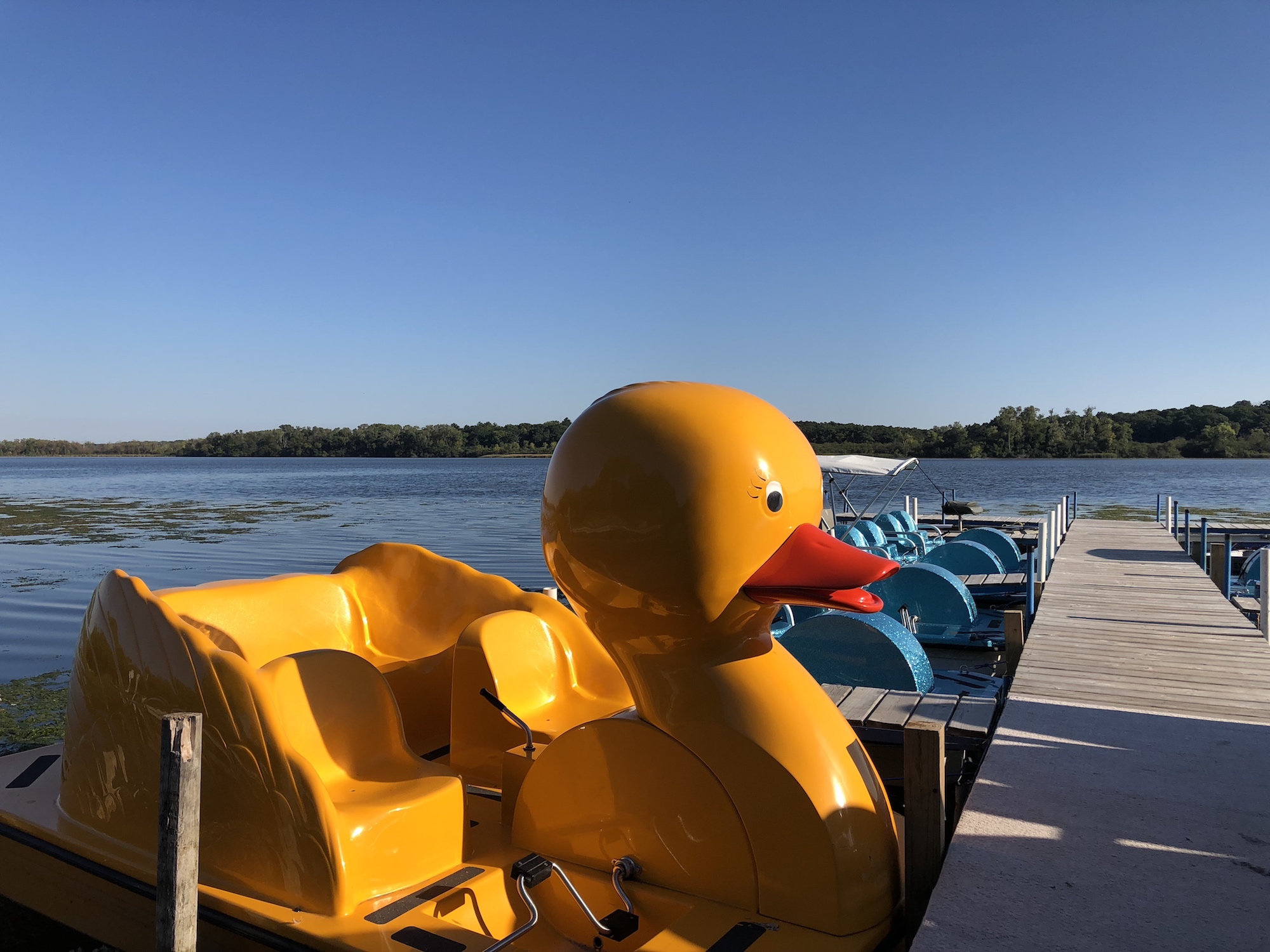 Lake Wingra on September 12, 2018.