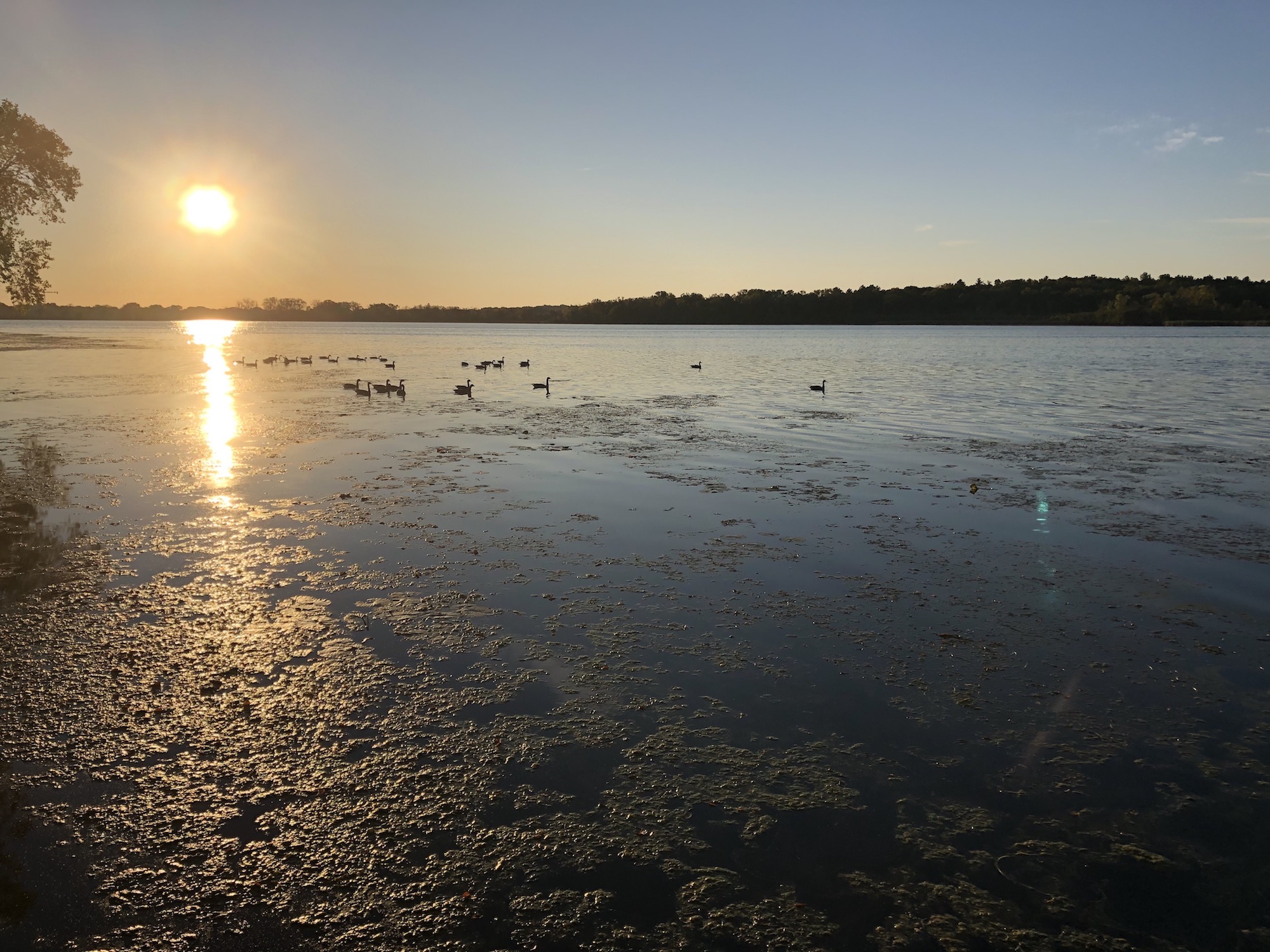 Lake Wingra on October 5, 2020.