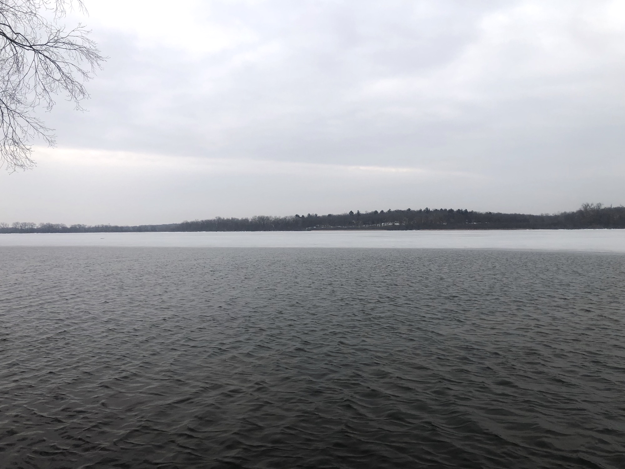 Lake Wingra at 42° on March 16, 2023.