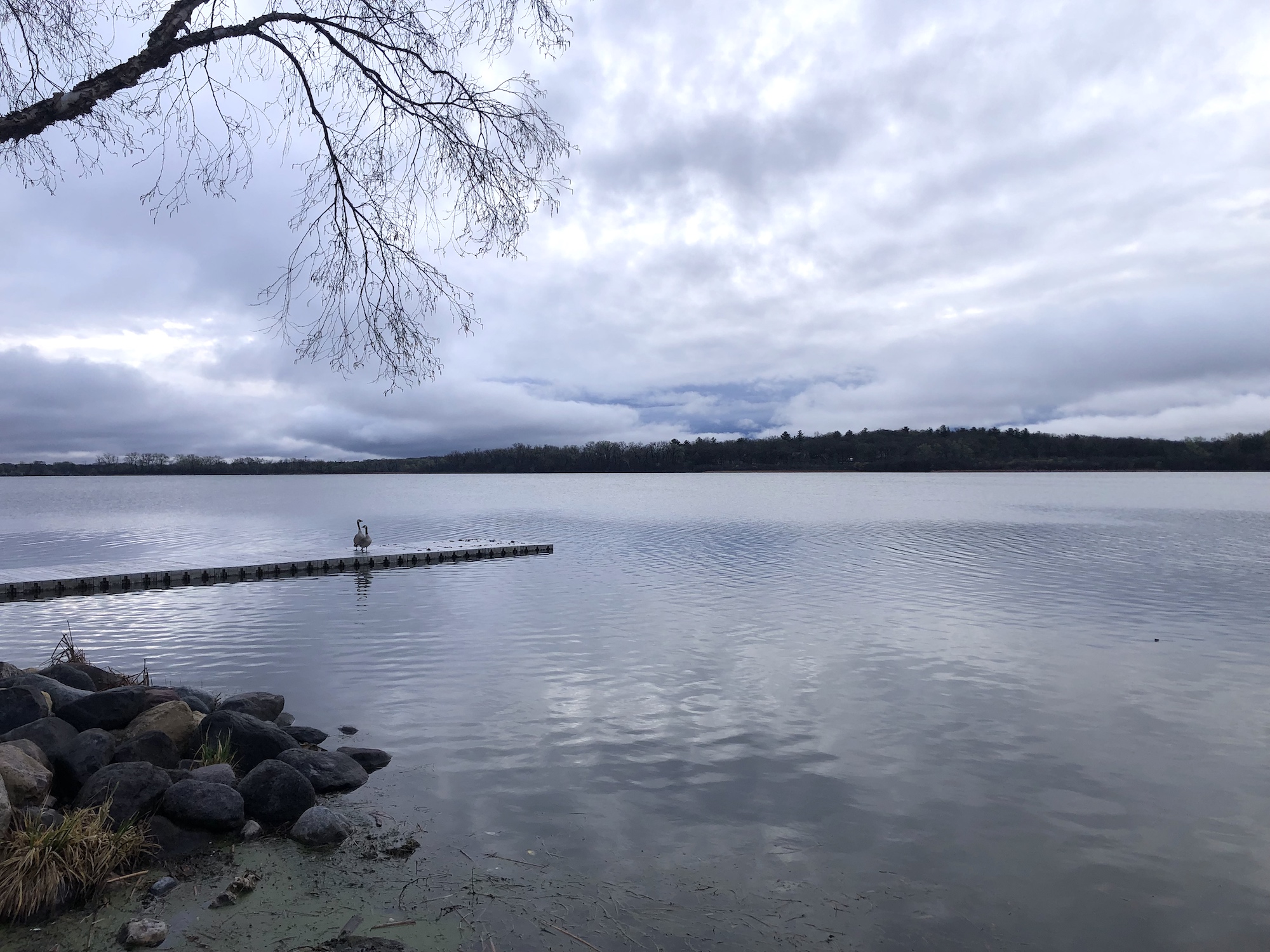 Lake Wingra on April 16, 2023.