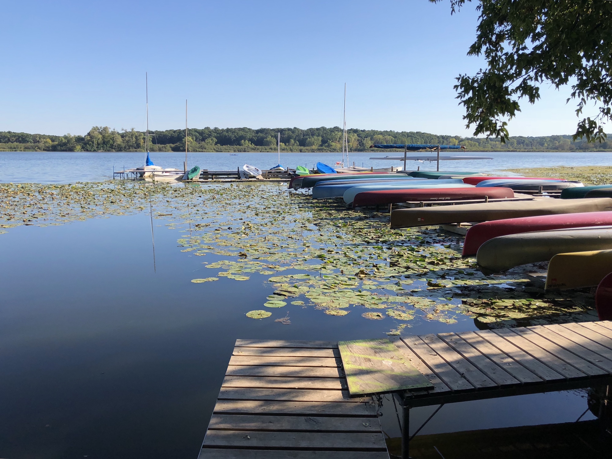 Lake Wingra on September 12, 2018.