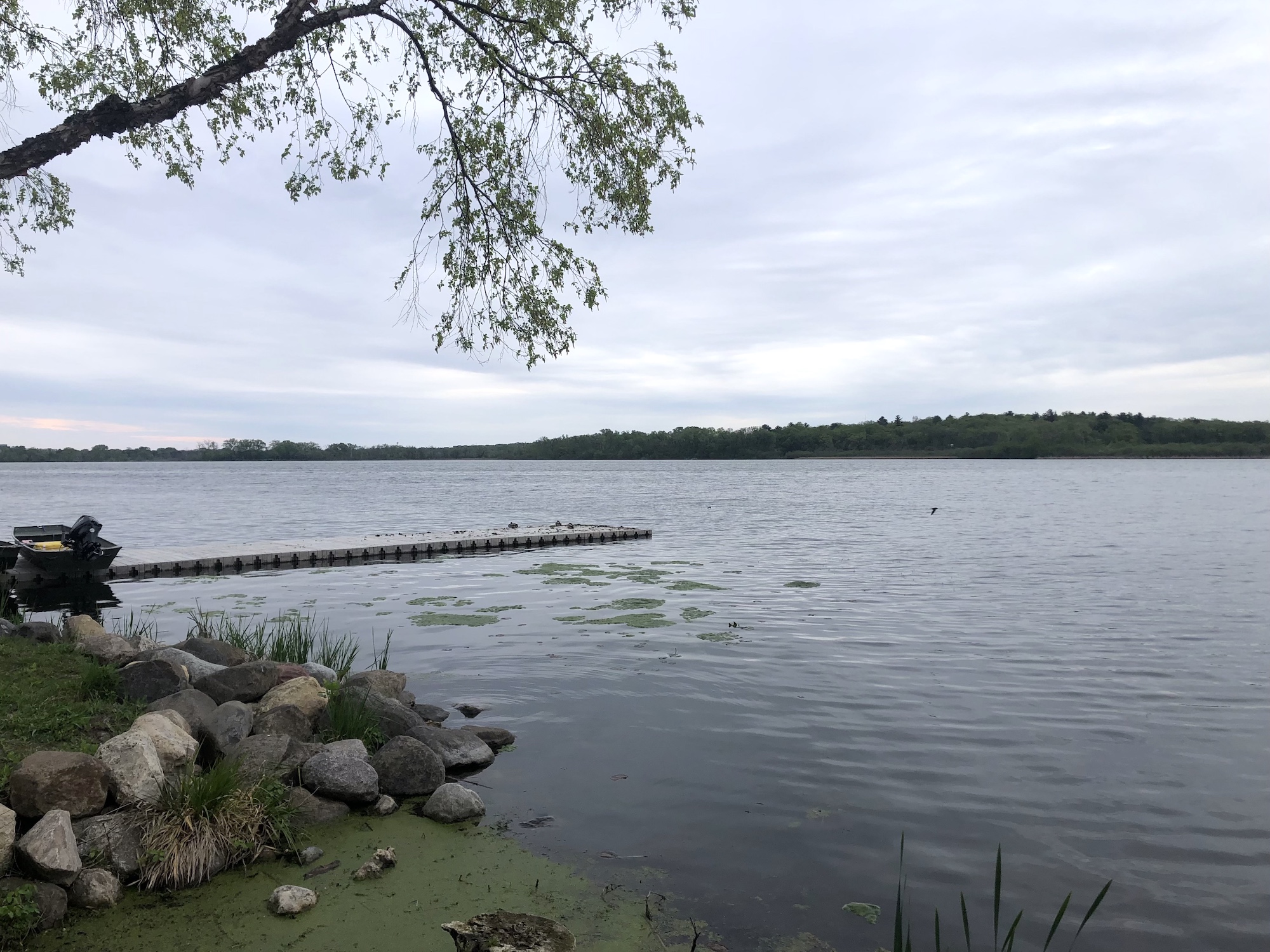 Lake Wingra on May 14, 2023 at 4:00 pm.