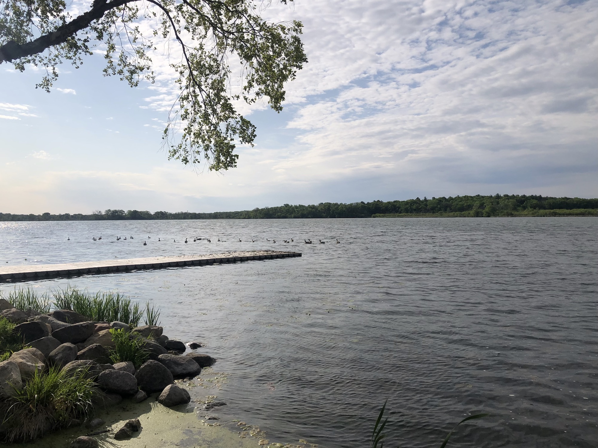 Lake Wingra on May 25, 2023.