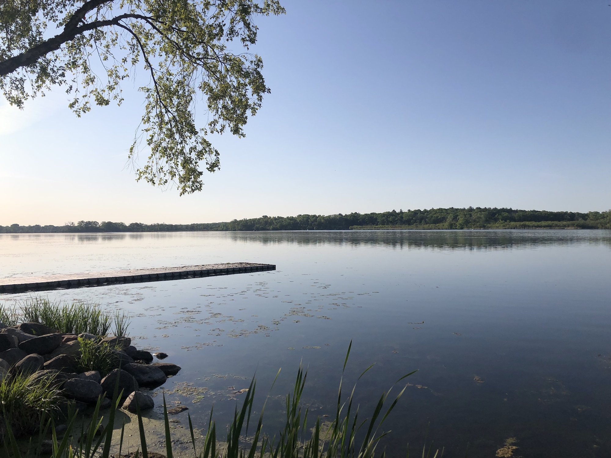 Lake Wingra on May 26, 2023 at 4:00 pm.