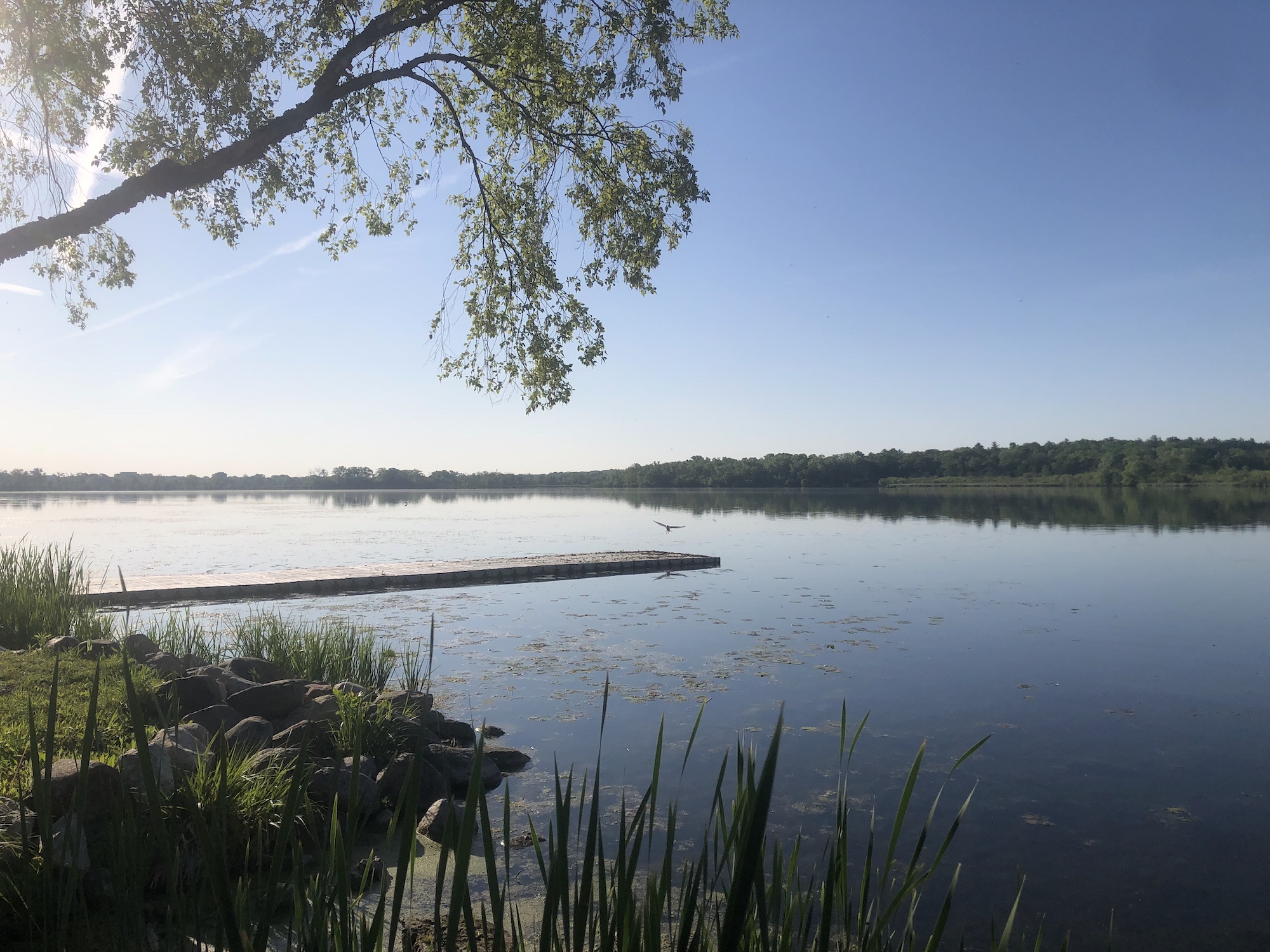 Lake Wingra on May 27 2023.