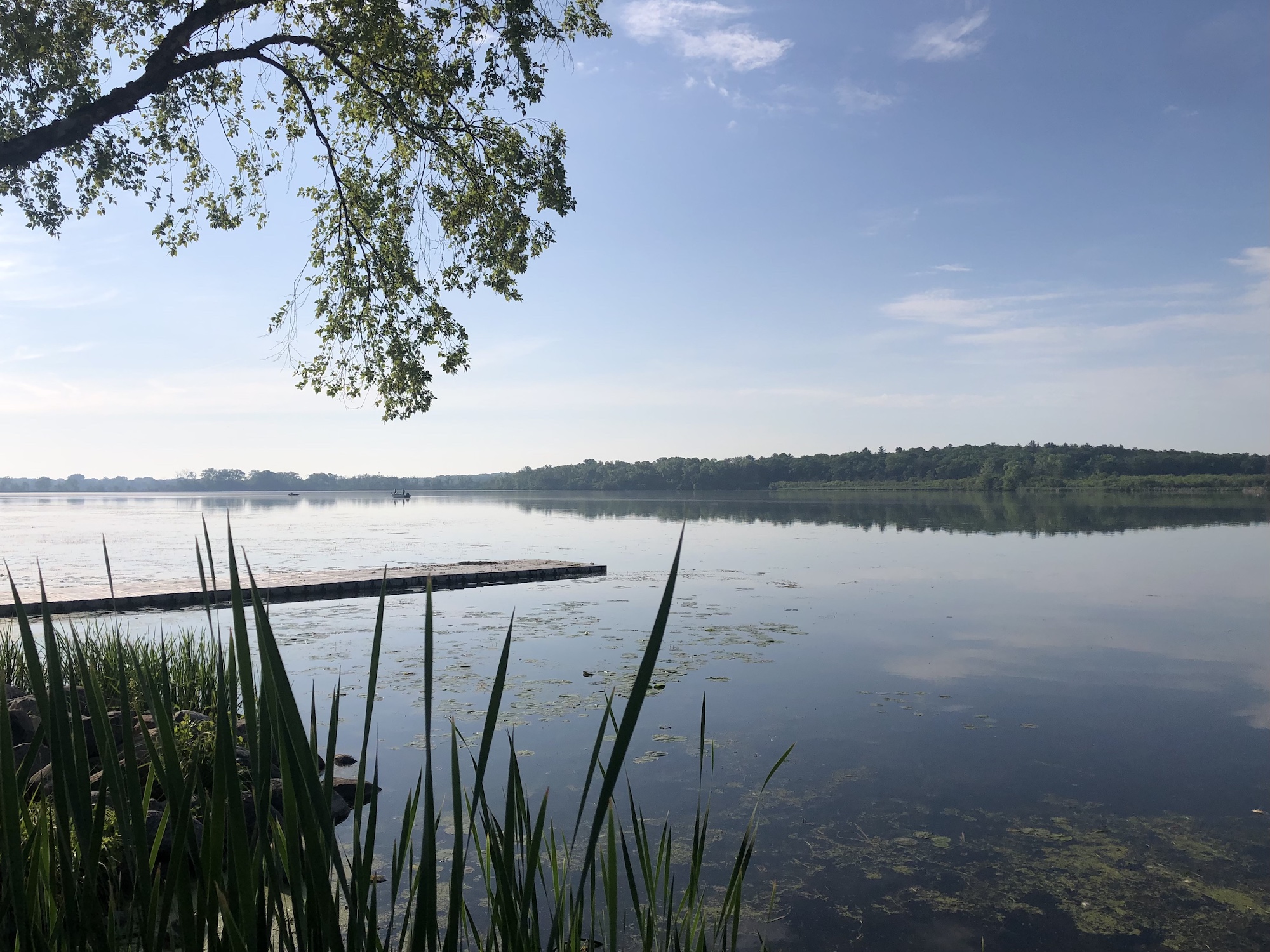 Lake Wingra on June 2, 2023.