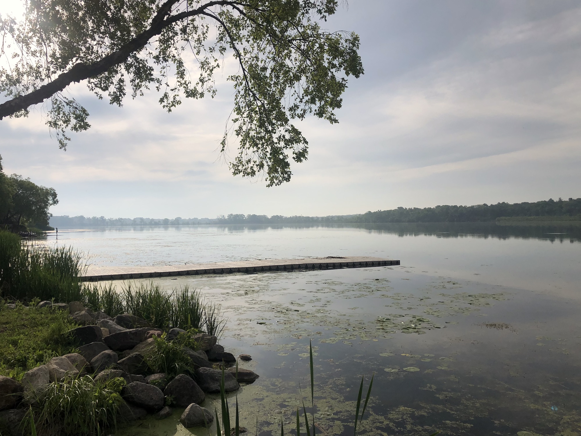 Lake Wingra on June 5, 2023.
