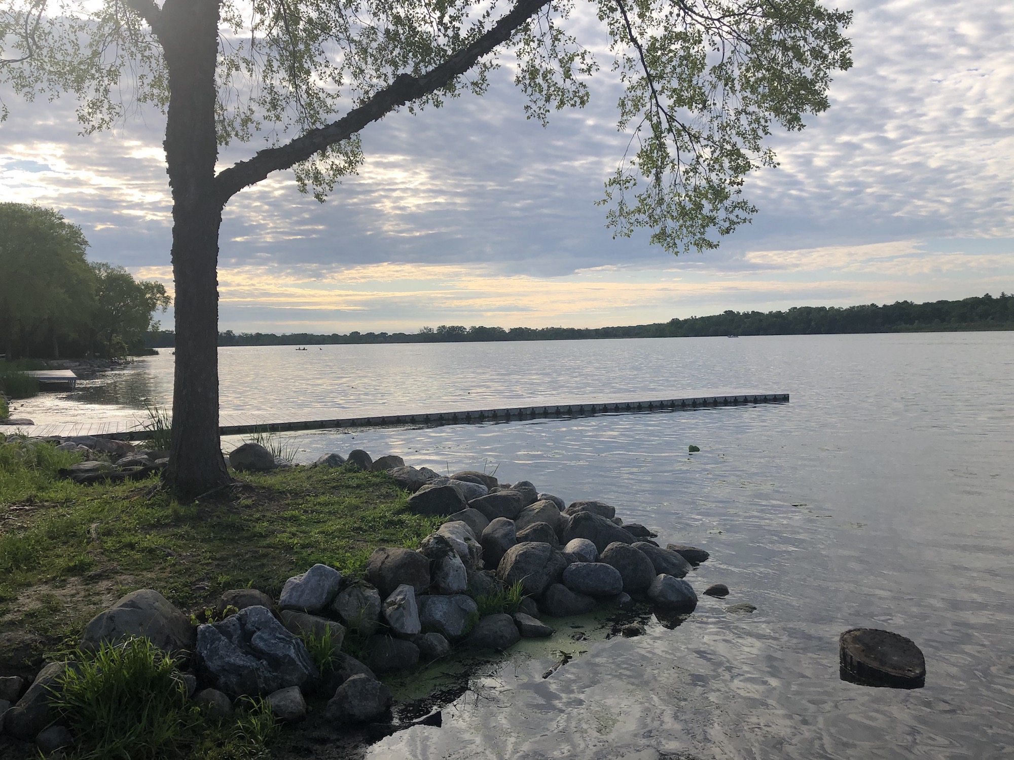 Lake Wingra on June 7, 2020.