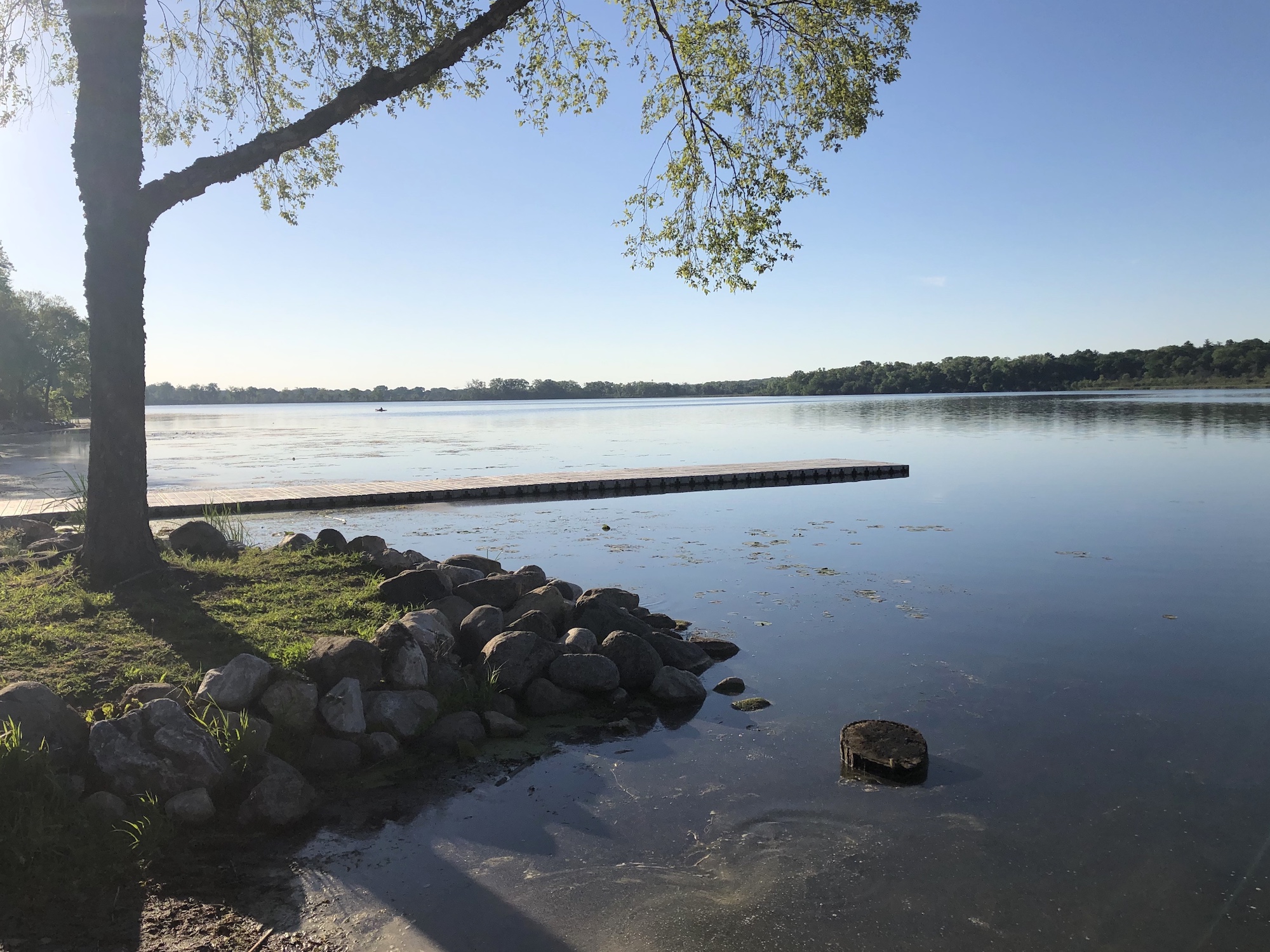 Lake Wingra on June 8, 2020.