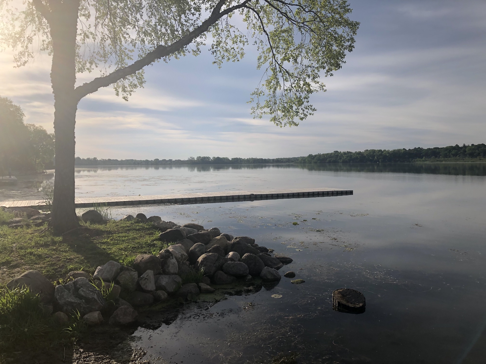 Lake Wingra on June 9, 2020.