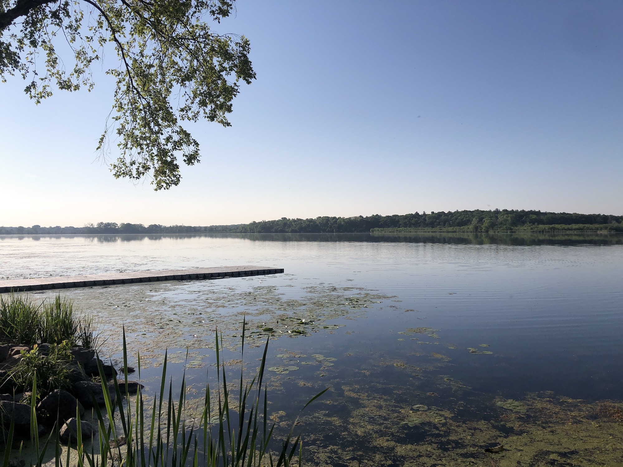 Lake Wingra on June 9, 2023.