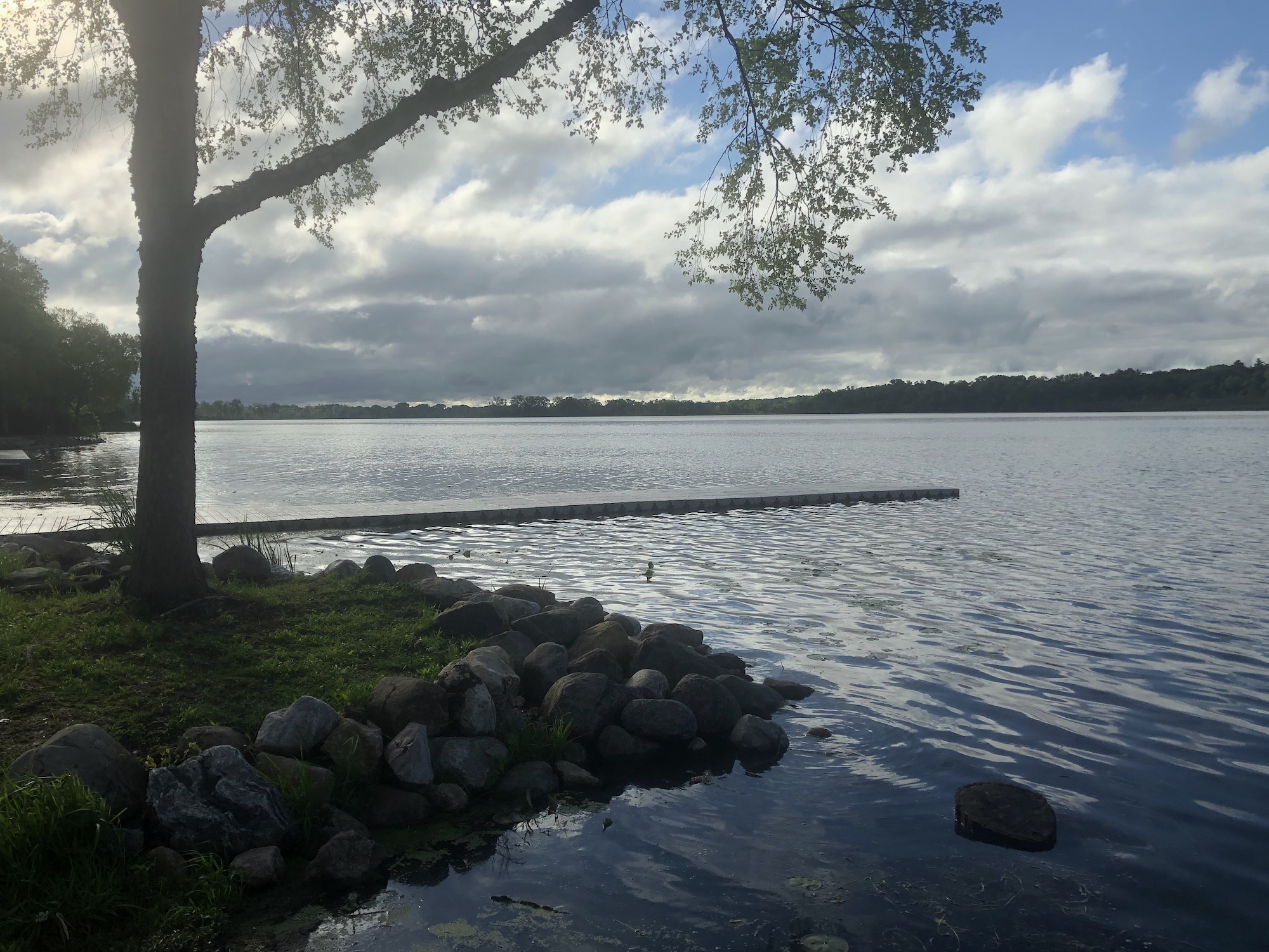 Lake Wingra on June 10, 2020.