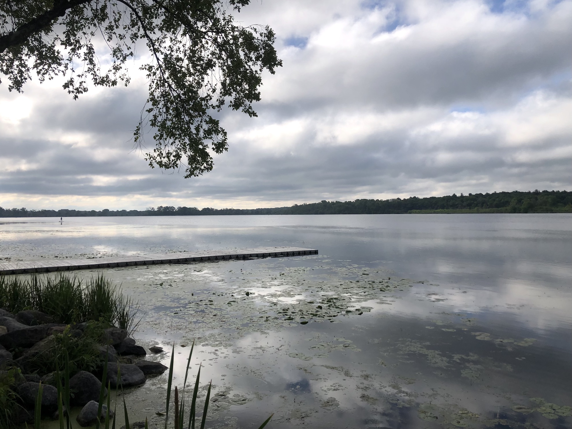 Lake Wingra on June 13, 2023.